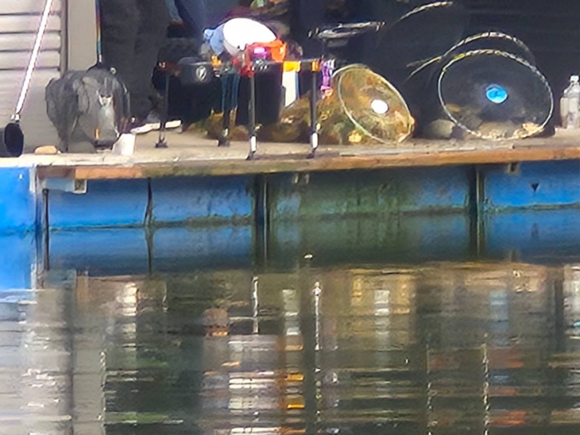 4173.jpg