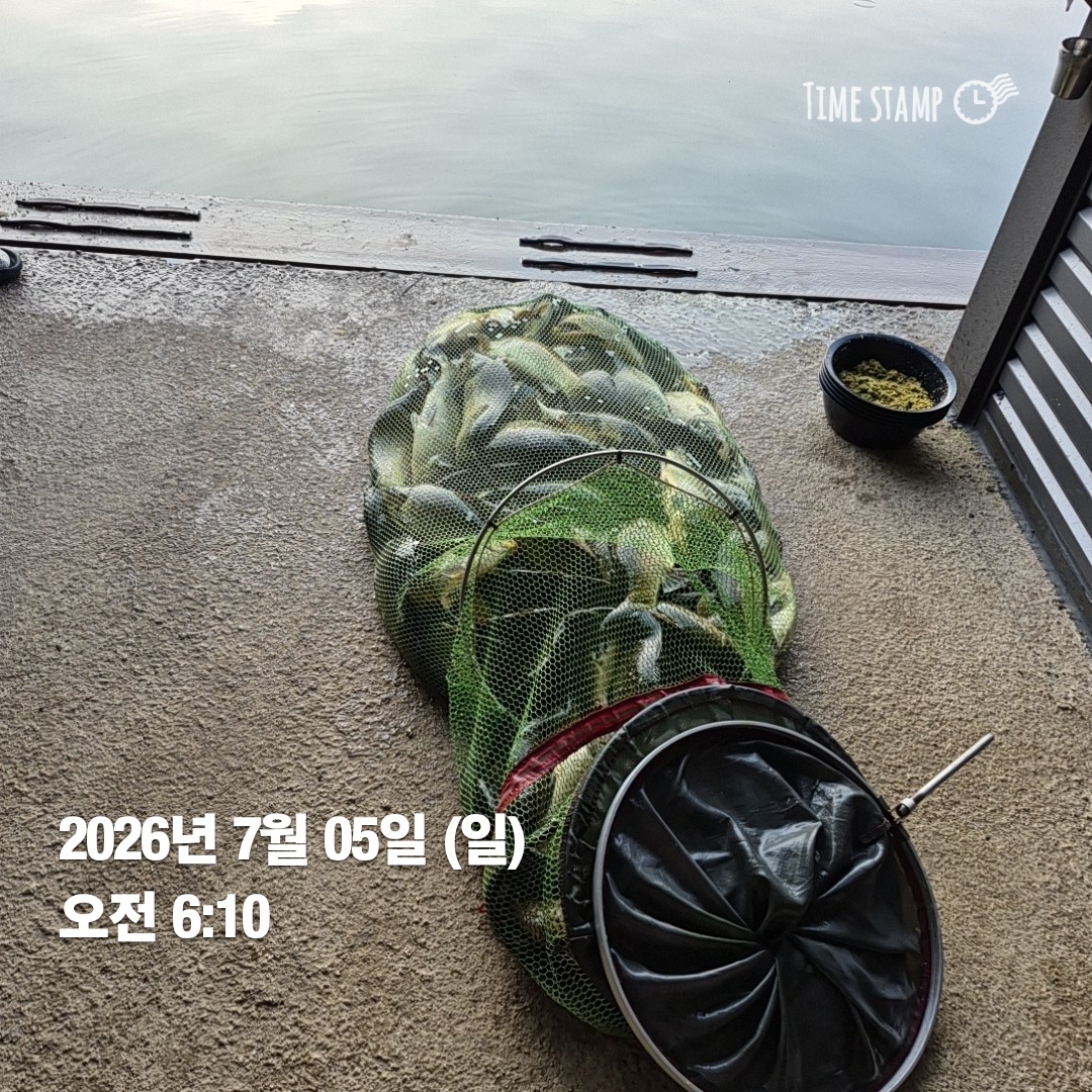 4169.jpg