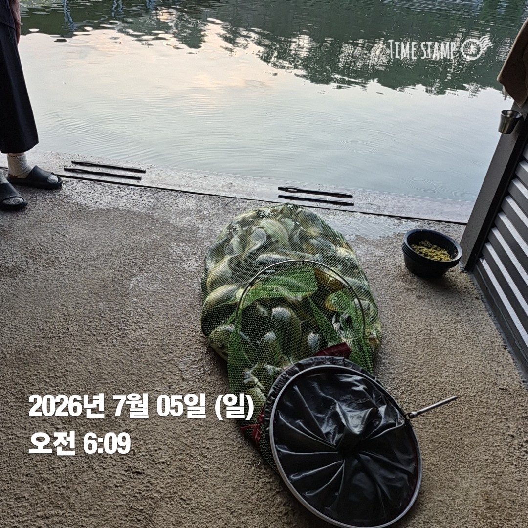 4168.jpg