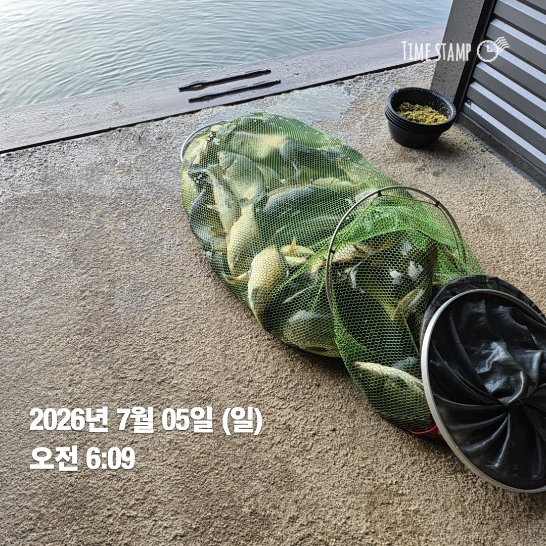 4167.jpg