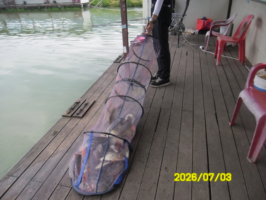 SAM_0917.JPG