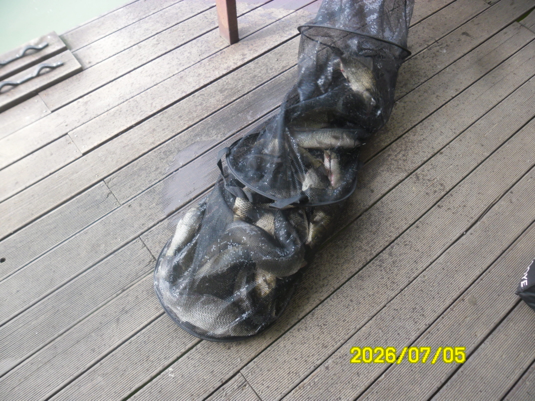 SAM_0949.JPG