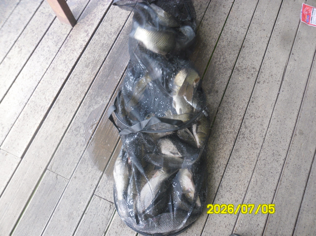 SAM_0950.JPG