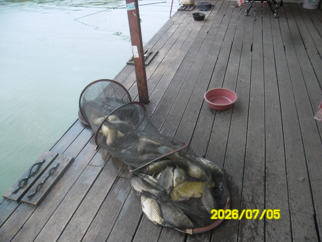 SAM_0955.JPG