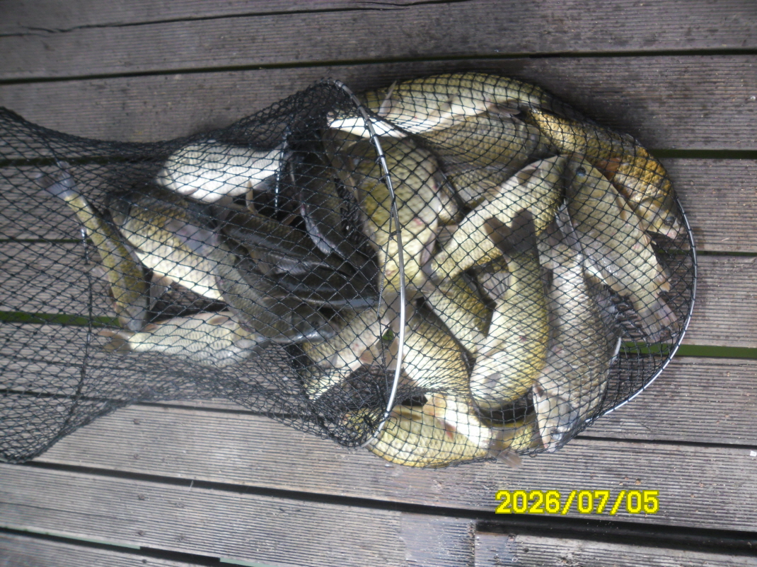 SAM_0954.JPG