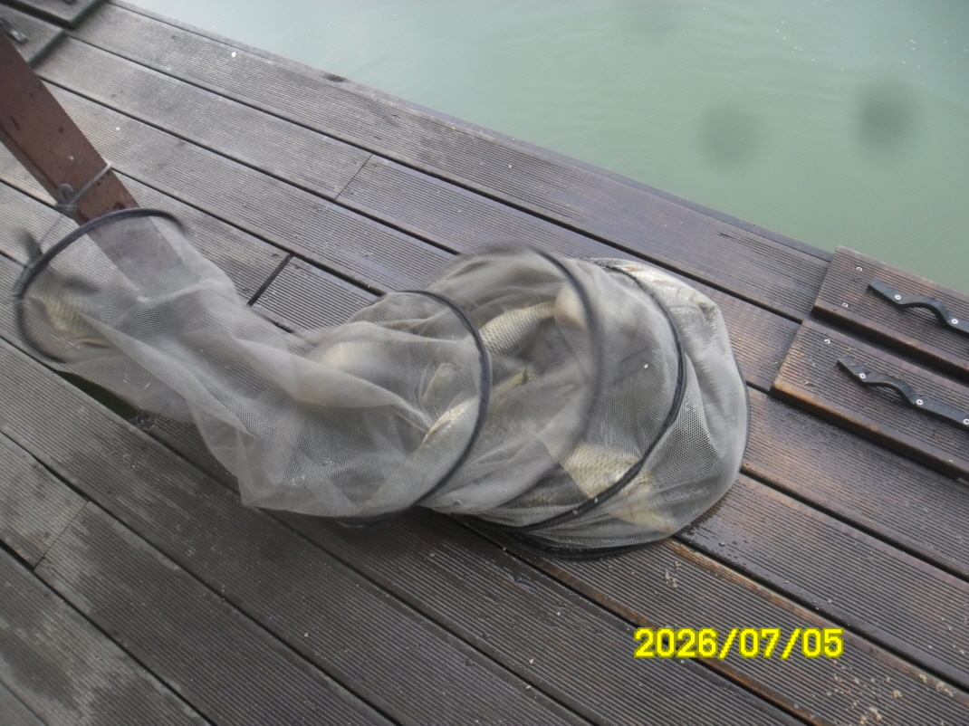 SAM_0959.JPG