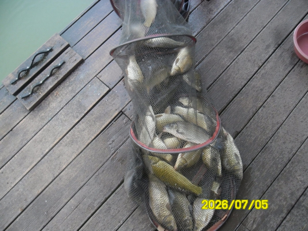 SAM_0958.JPG