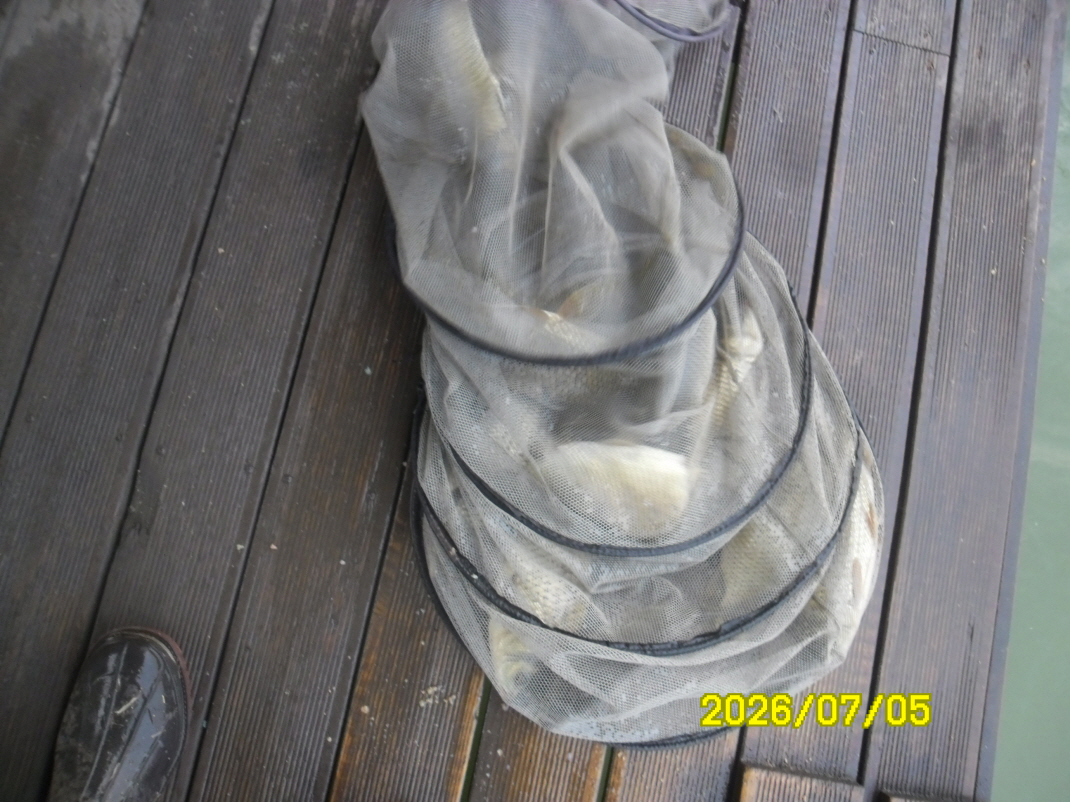 SAM_0961.JPG