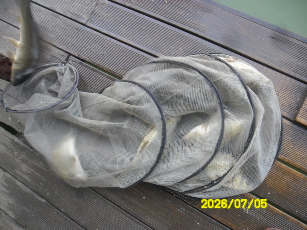 SAM_0960.JPG