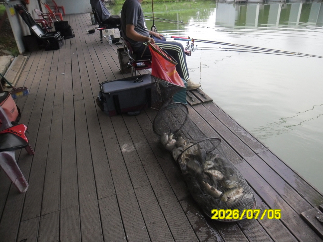 SAM_0965.JPG