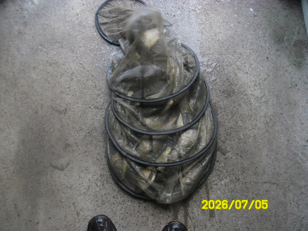 SAM_0969.JPG