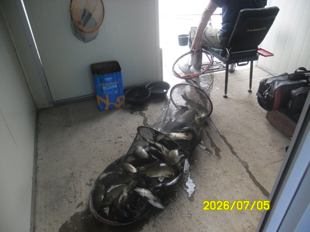 SAM_0993.JPG