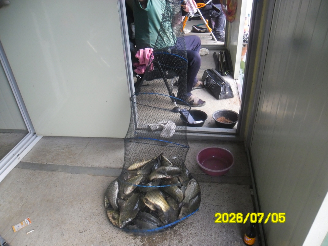 SAM_0997.JPG