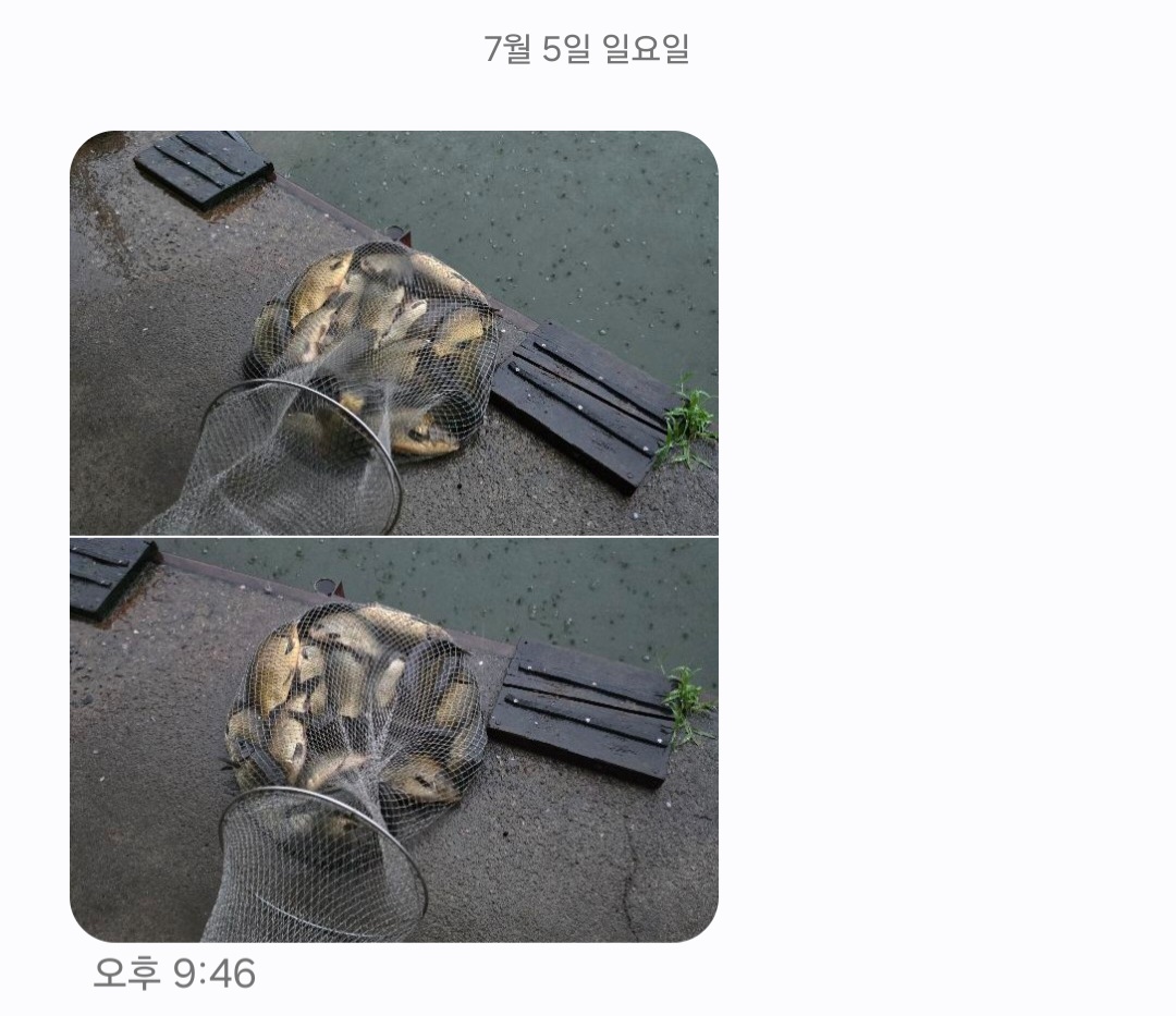KakaoTalk_20260706_131859524.jpg