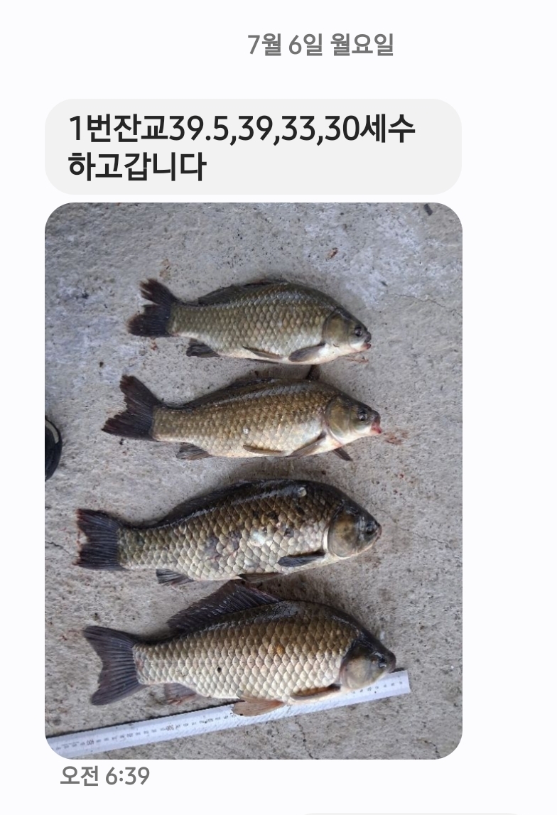 Screenshot_20260706_093907_Messages.jpg
