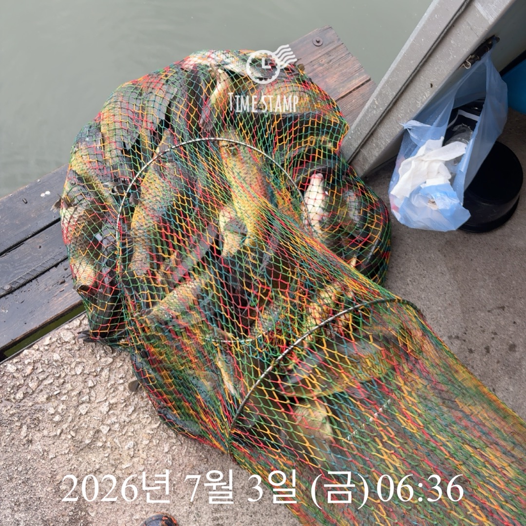 KakaoTalk_20260707_074801645_13.jpg