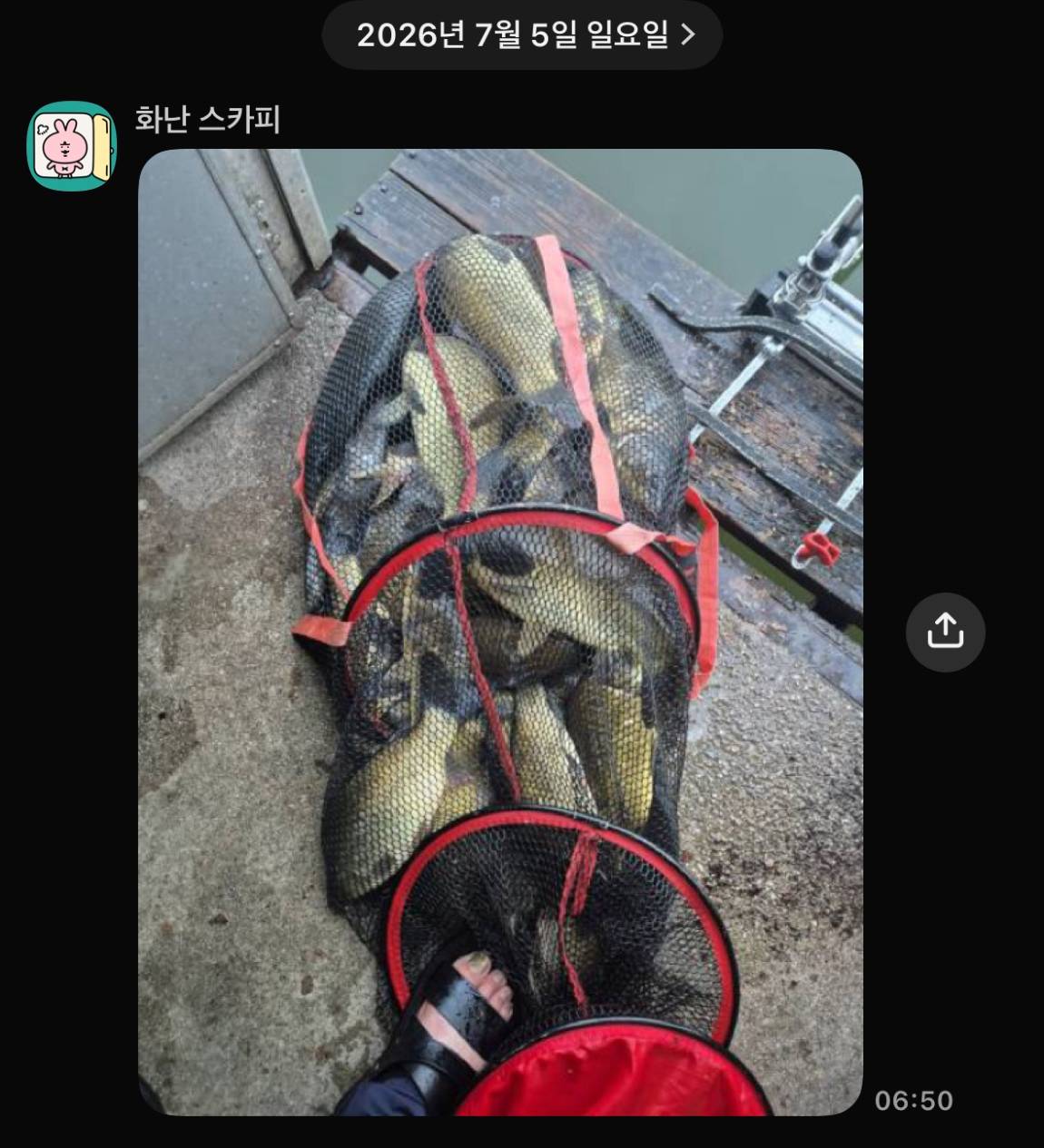 KakaoTalk_20260707_074801645_06.jpg