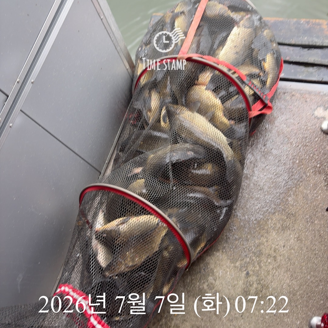 KakaoTalk_20260707_074801645.jpg