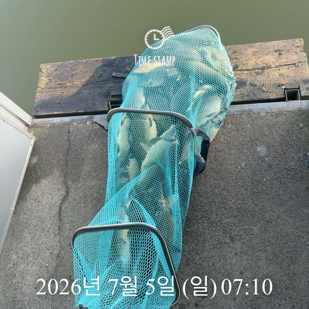 KakaoTalk_20260707_074801645_05.jpg