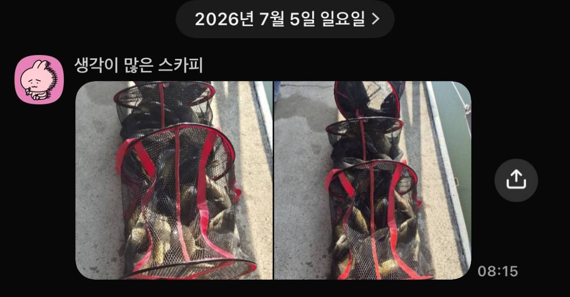 KakaoTalk_20260707_074801645_02.jpg