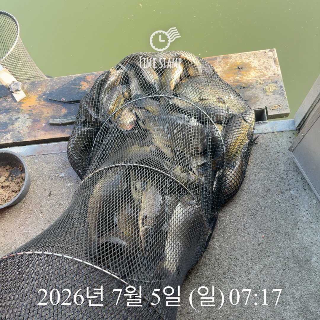 KakaoTalk_20260707_074801645_04.jpg