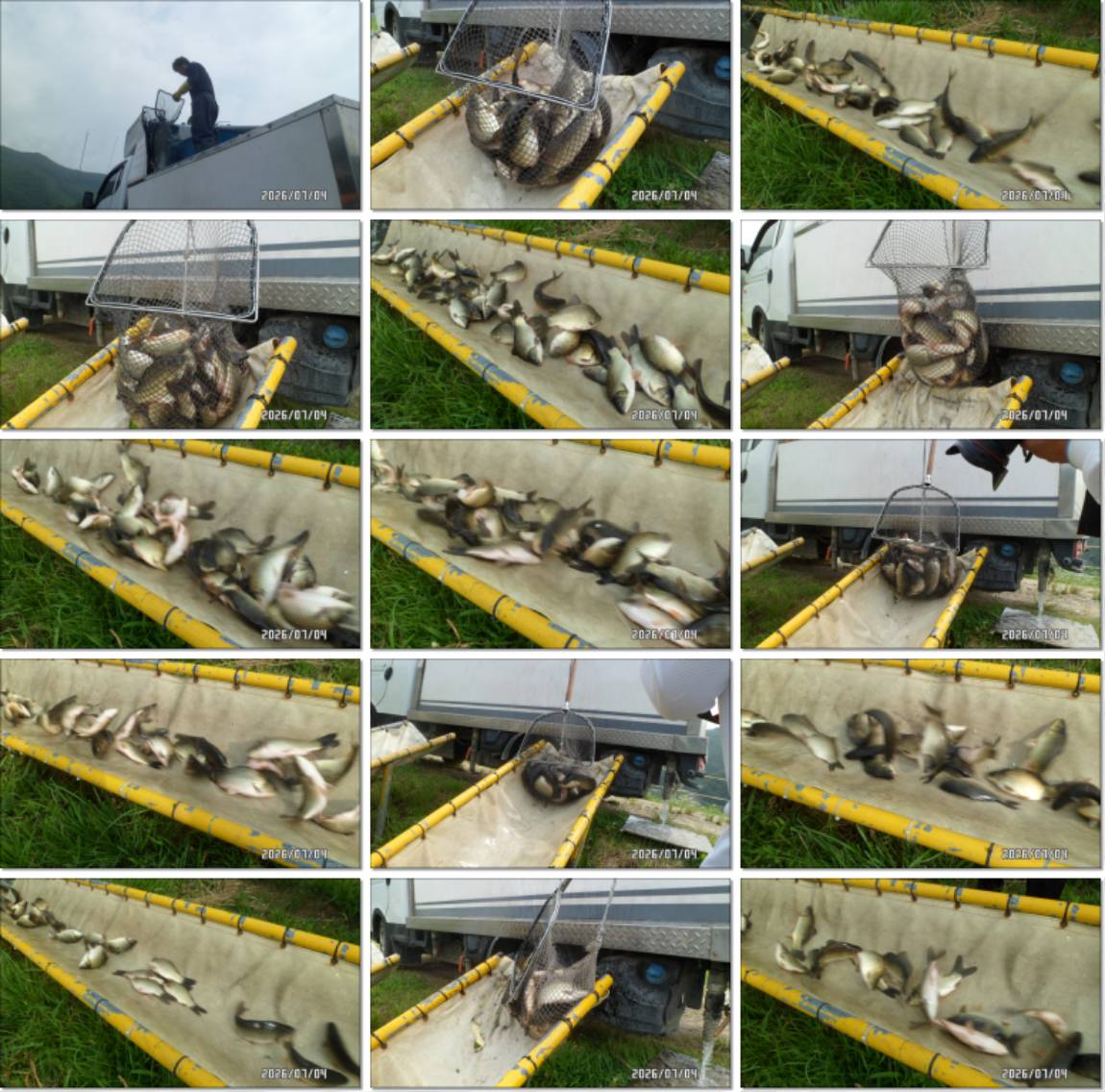 SAM_6288-tile.jpg