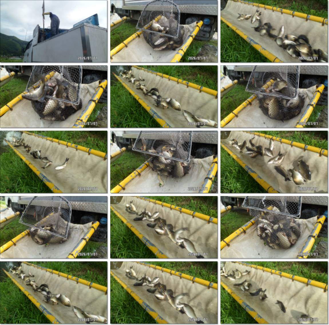 SAM_6387-tile.jpg