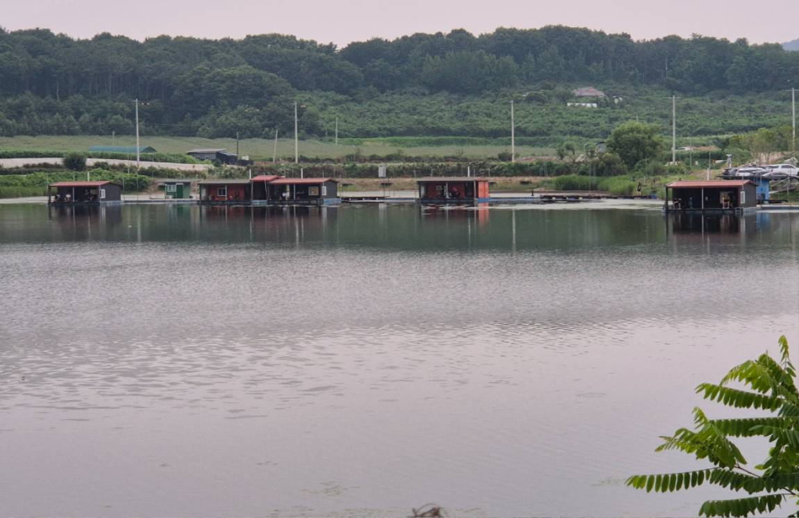 20260704_194552.jpg