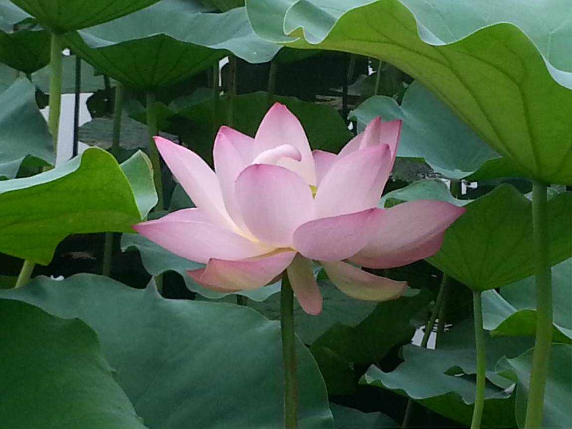 20150811_112838.jpg