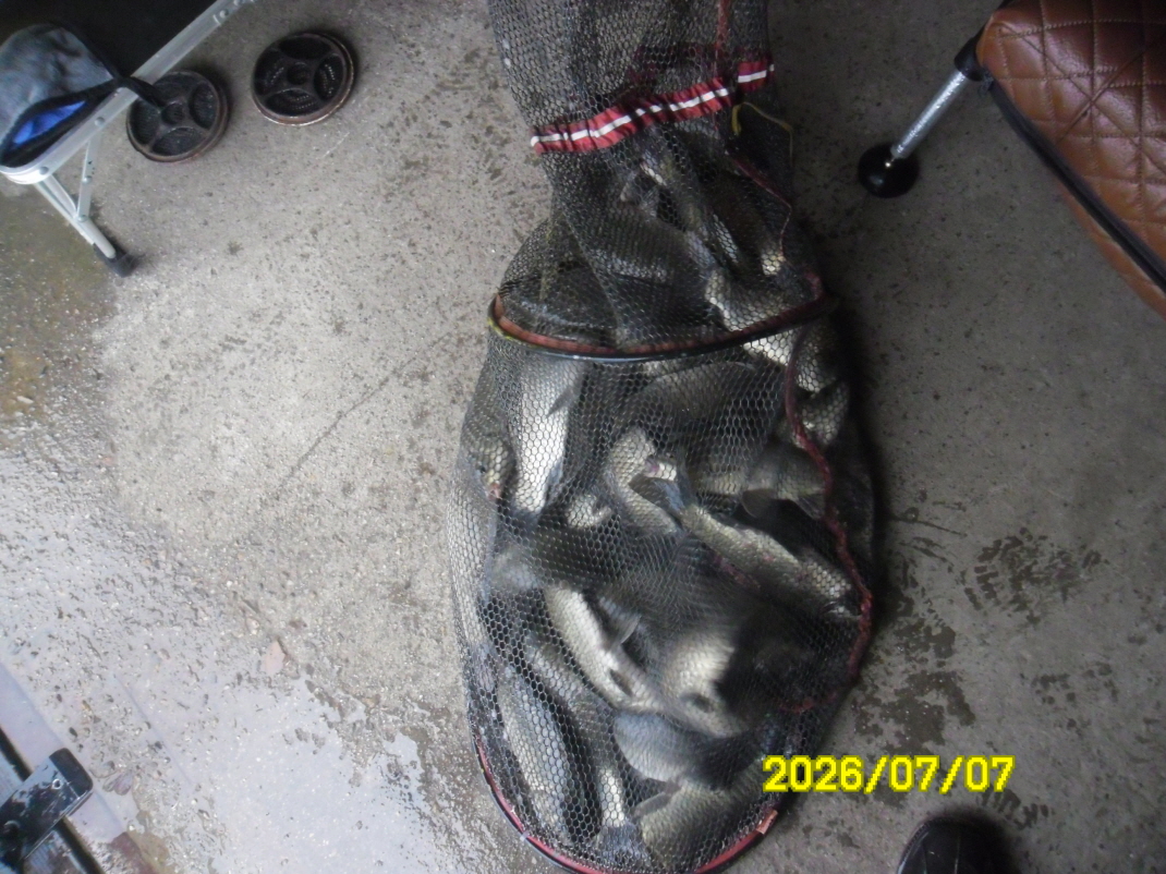 SAM_1030.JPG