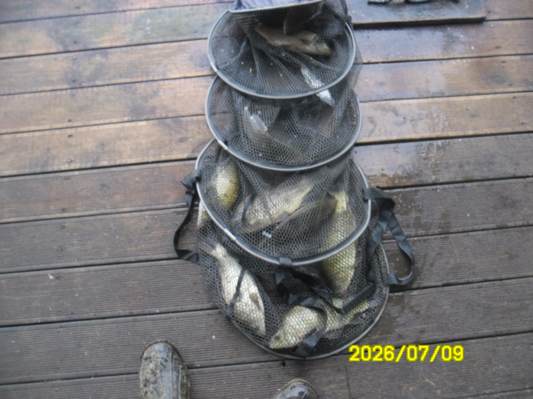 SAM_1067.JPG