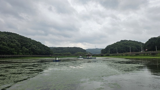 KakaoTalk_20260710_144452887_11.jpg