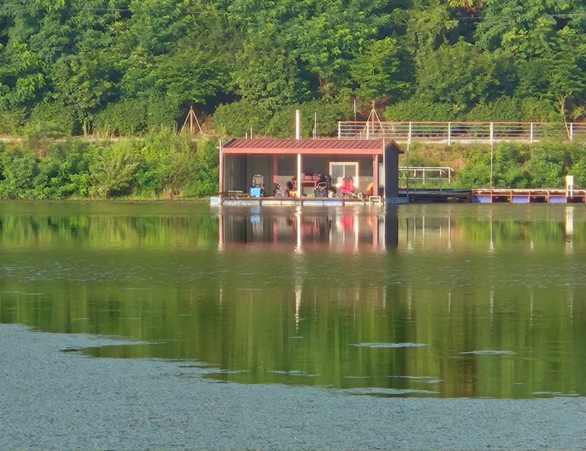 20260711_065252.jpg