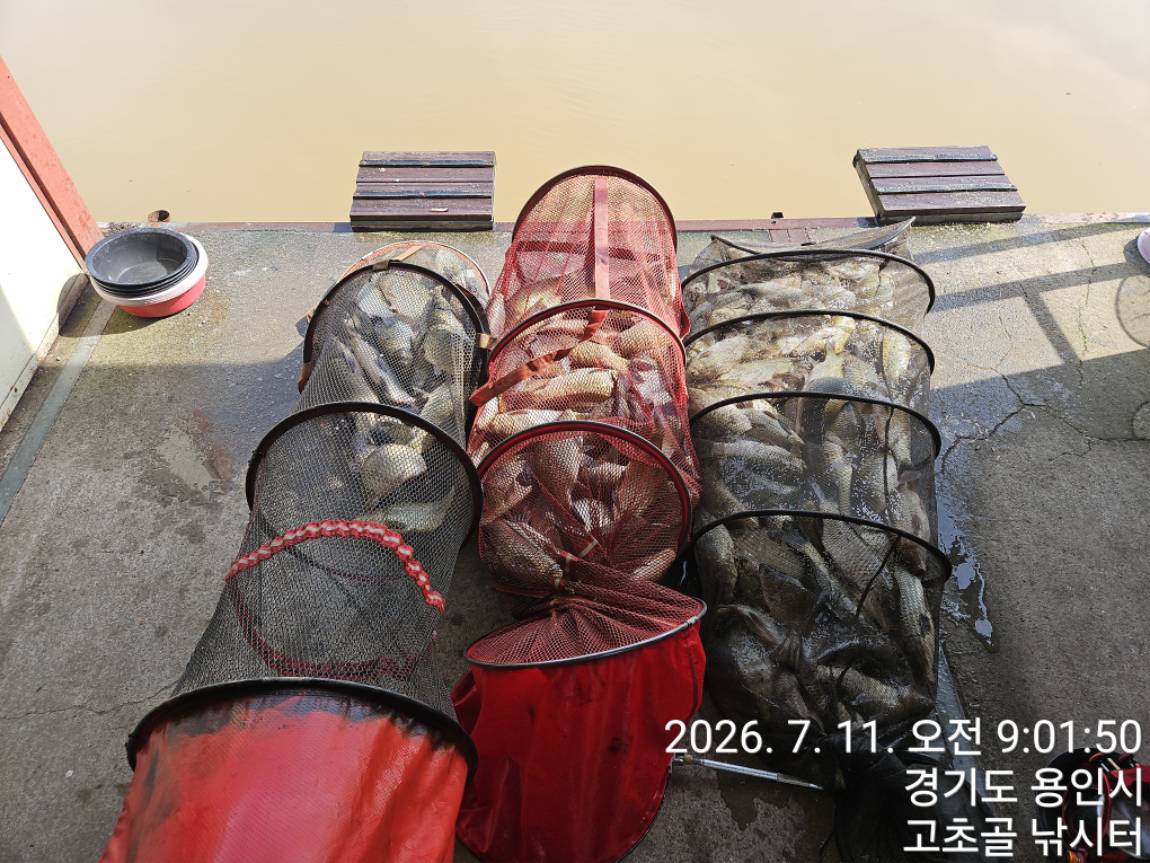 1783728864645.jpg