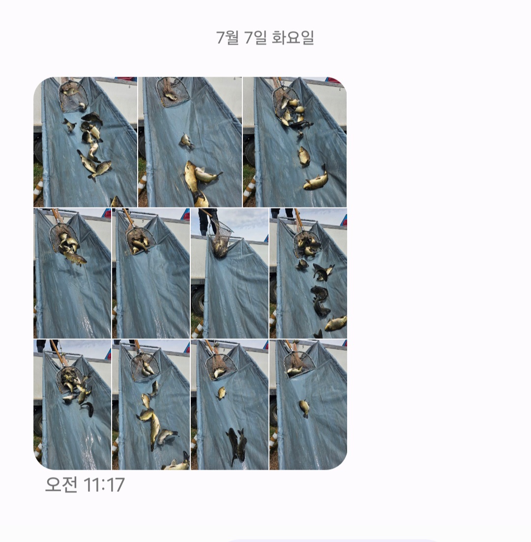 Screenshot_20260707_124501_Messages.jpg