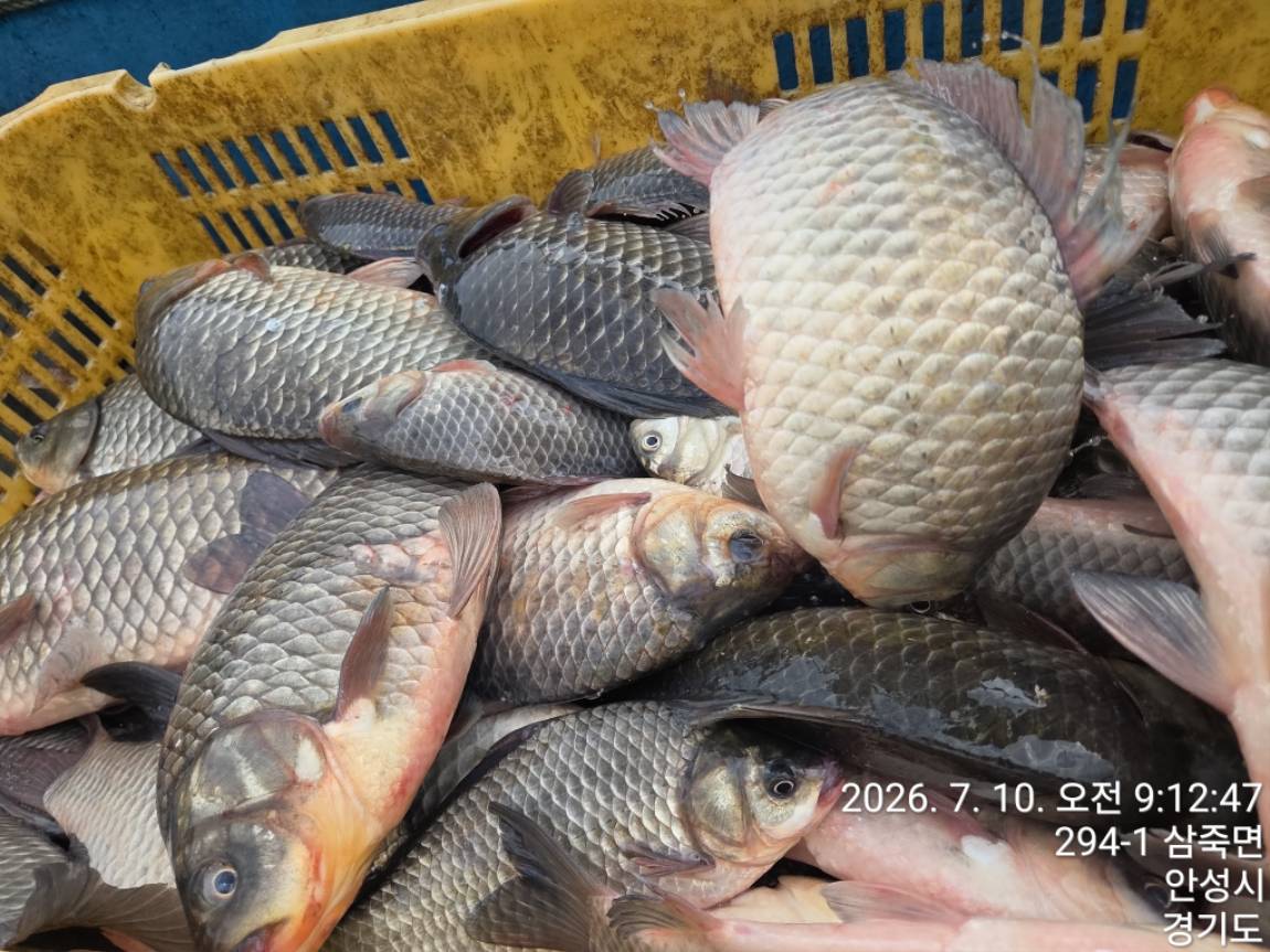 KakaoTalk_20260710_215107059_03.jpg