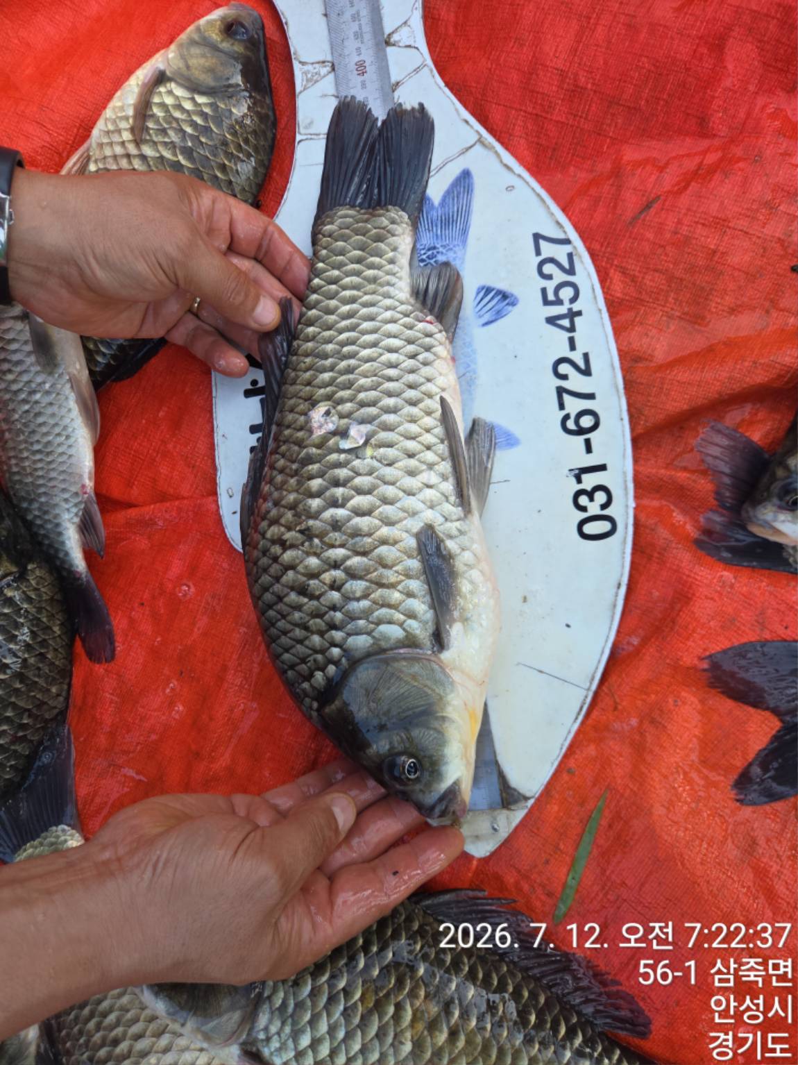 KakaoTalk_20260712_215905456_03.jpg