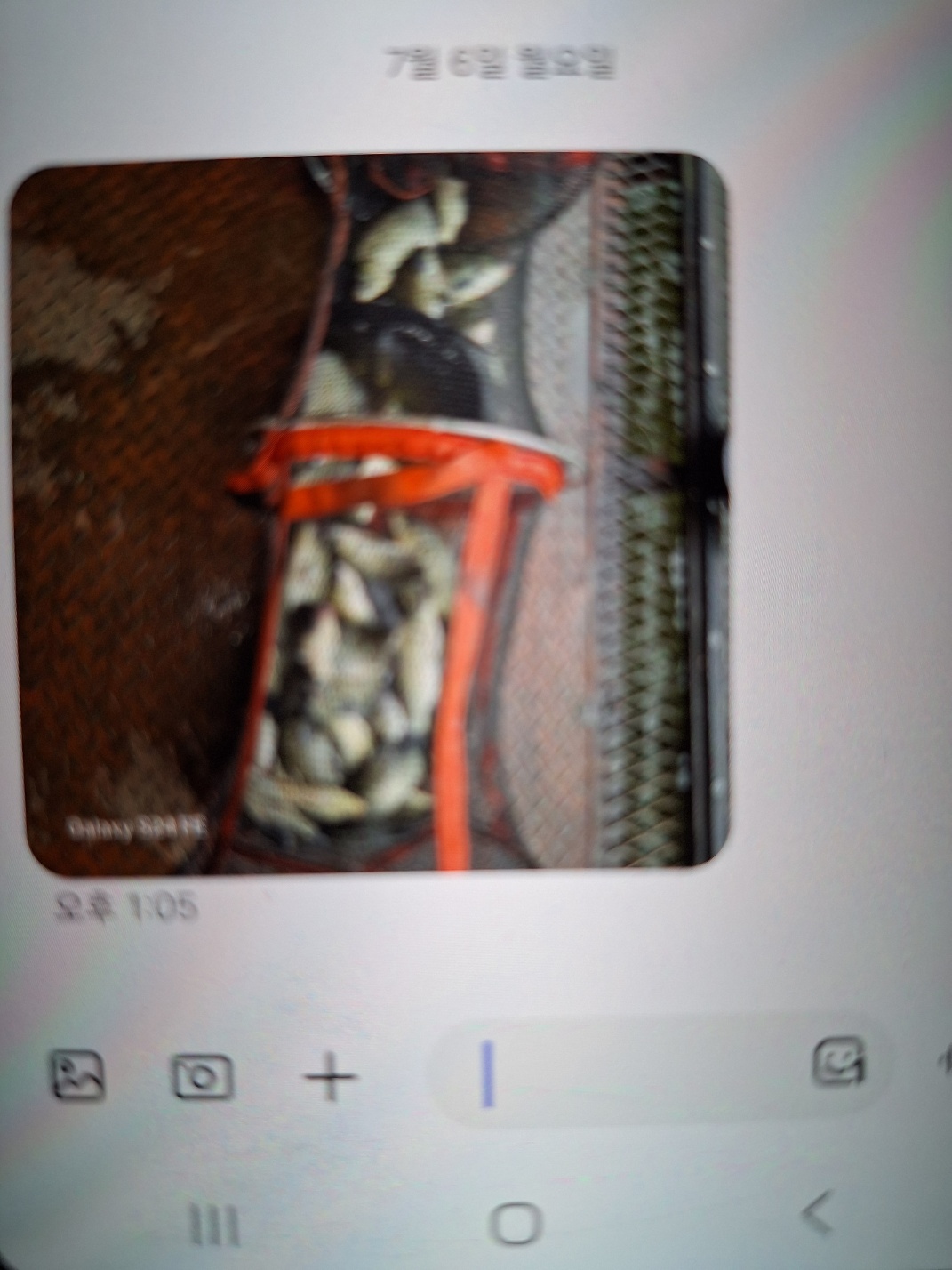 KakaoTalk_20260706_130558281.jpg