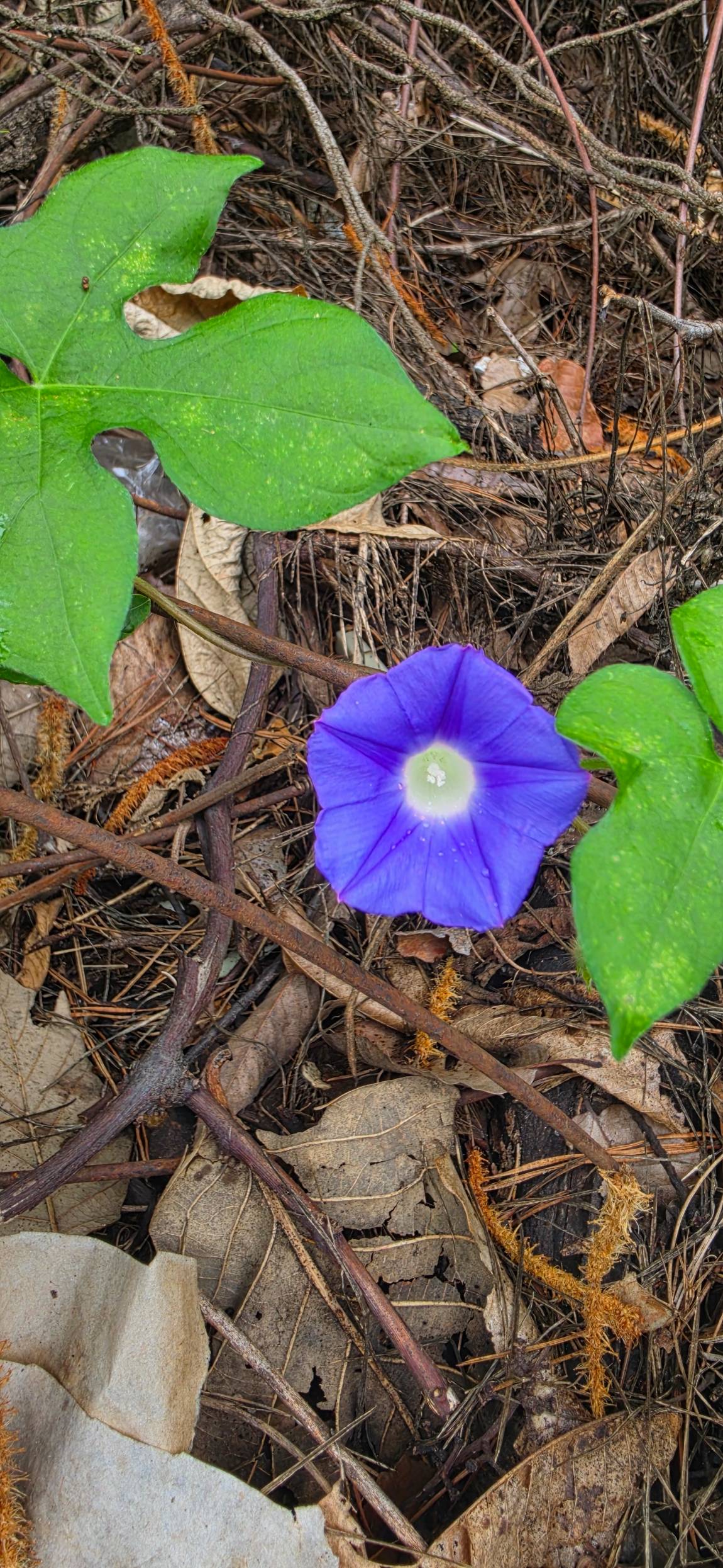 20260706_100949.jpg