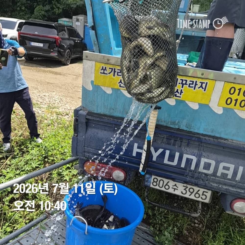 1783909681830.jpg