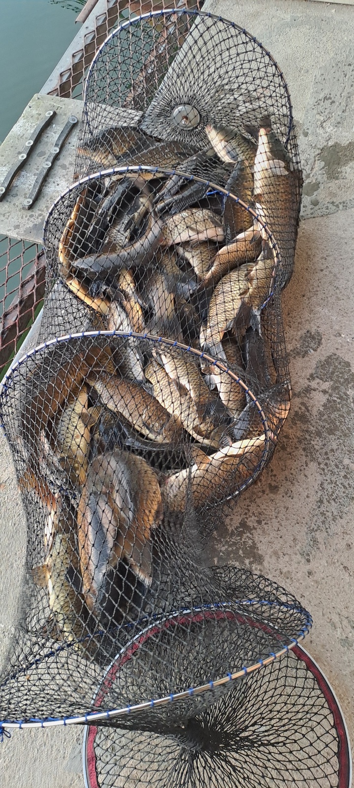 KakaoTalk_20260713_112406730_03.jpg