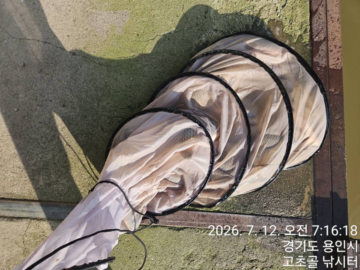 1783849812520.jpg