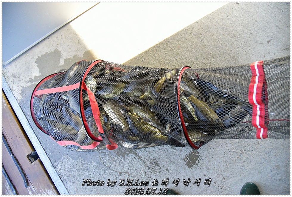 LEE_6101.JPG