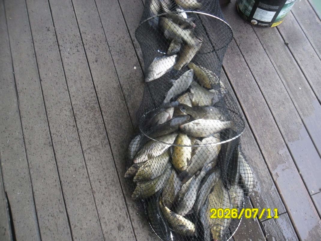 SAM_1118.JPG