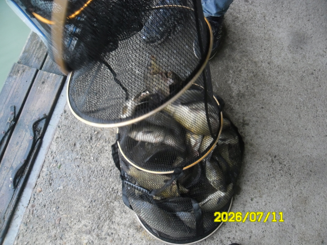SAM_1130.JPG