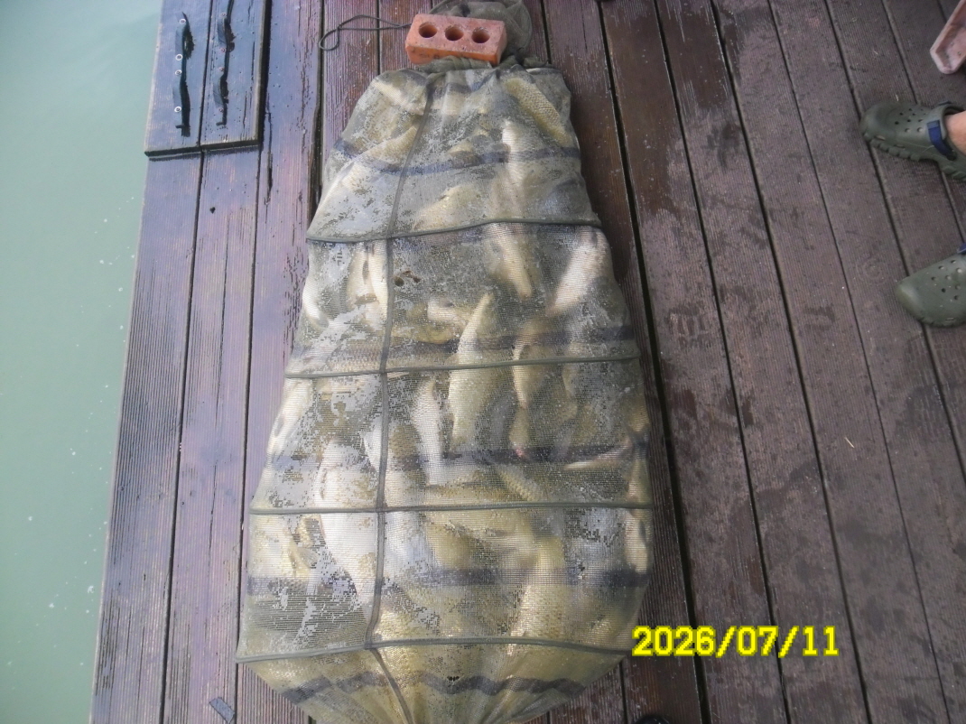 SAM_1140.JPG