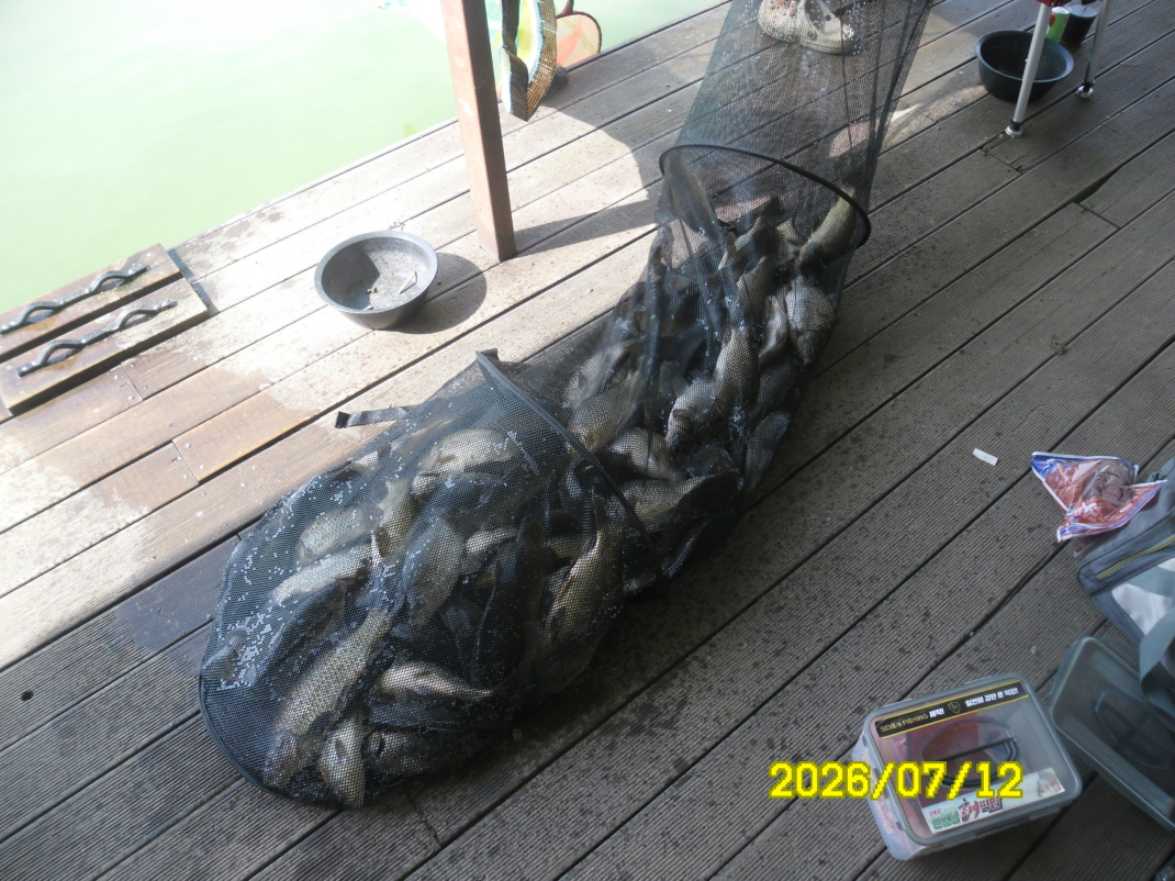 SAM_1145.JPG