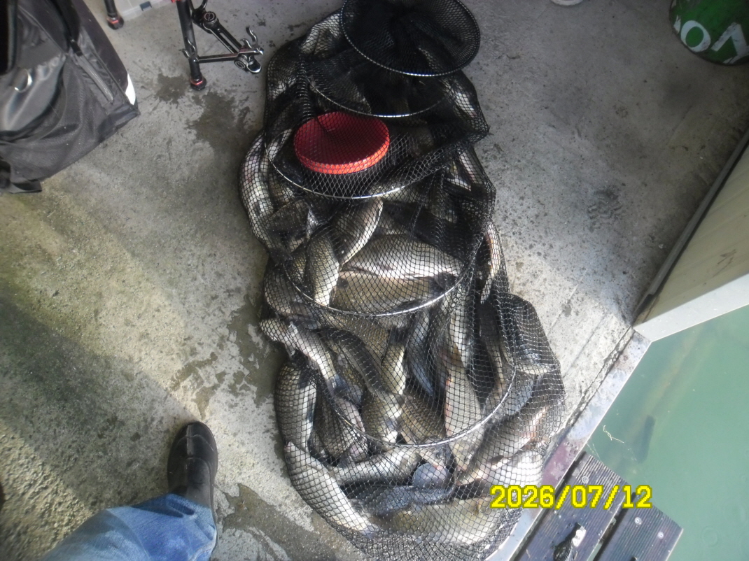 SAM_1185.JPG