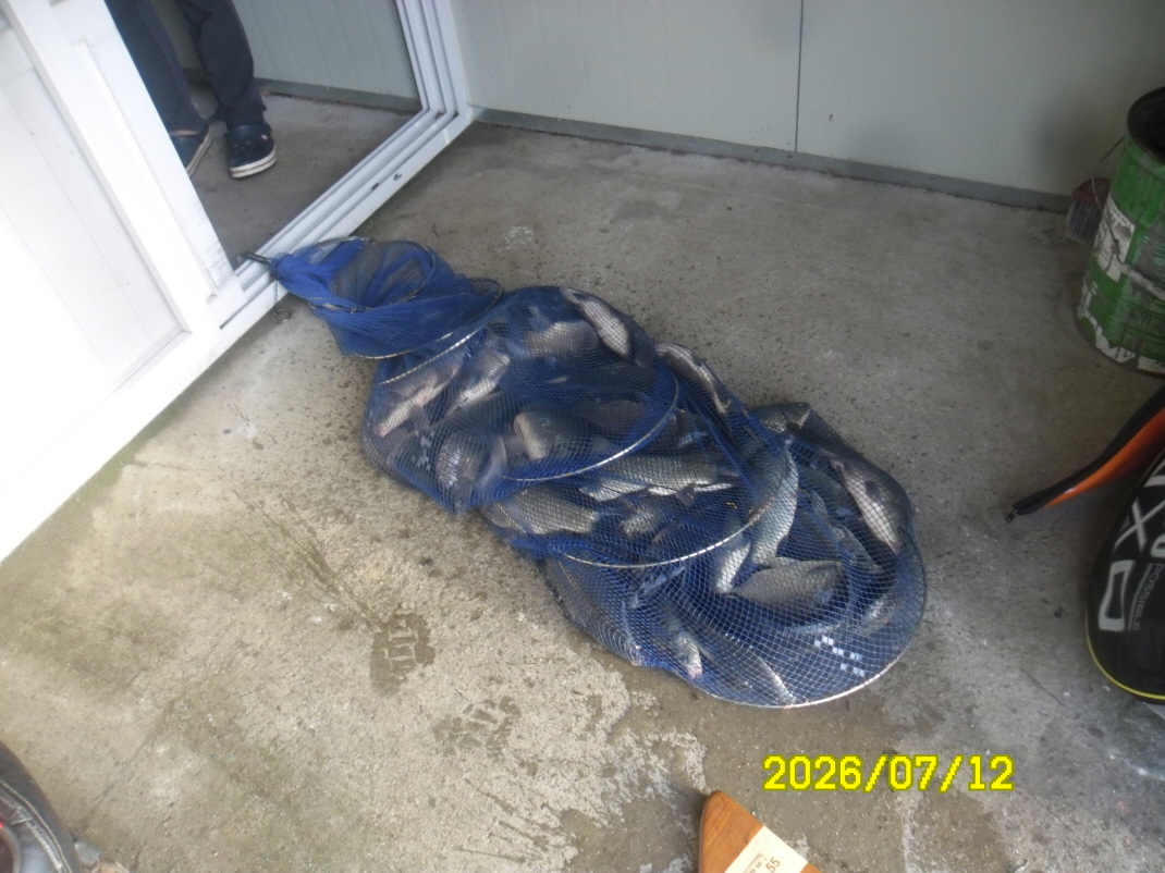SAM_1189.JPG