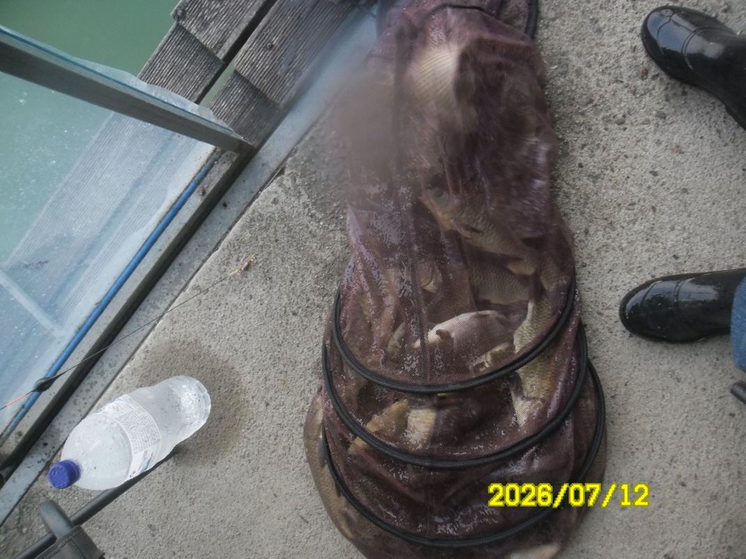 SAM_1226.JPG